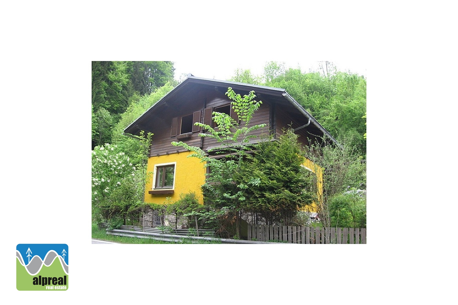 Huis Hüttau Salzburgerland