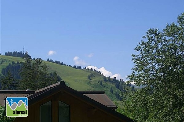 Ruim vakantiehuis Maria Alm Hinterthal Salzburgerland Oostenrijk