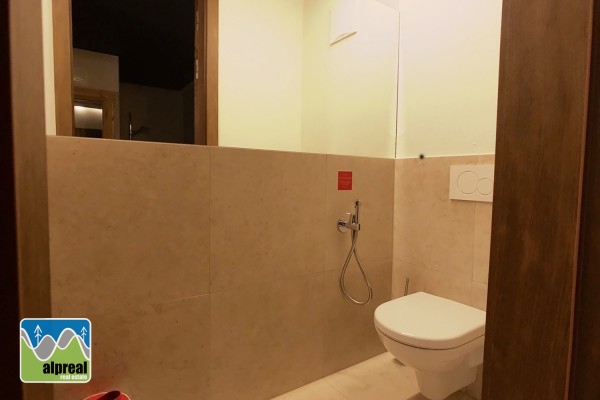 luxurious 2-bedroom apartment Zell am See Salzburg Austria