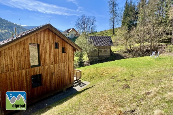 Holiday chalet Stadl an der Mur