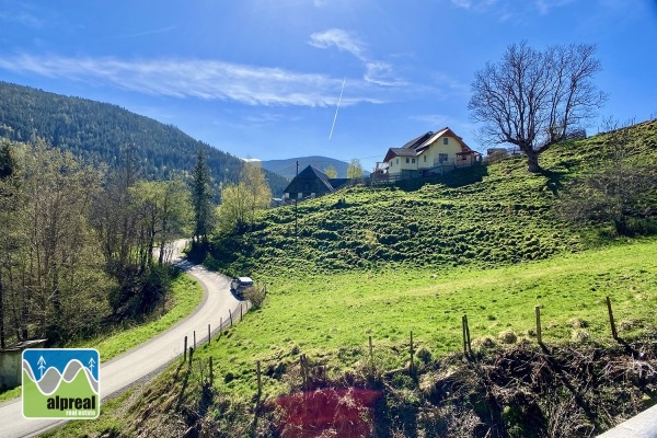 Holiday chalet Stadl an der Mur