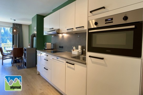 2-bedroom apartement in Viehhofen Salzburg Austria