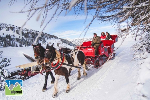 3 Zimmer Ferienwohnung Katschberg Salzburg Österreich