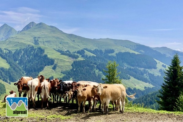 Chalet Bramberg Salzburg Austria