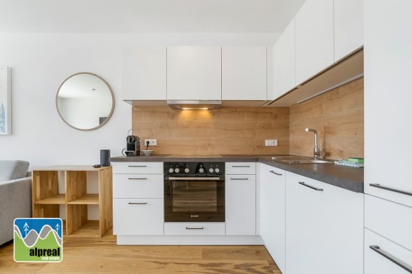 2-Zimmer-Wohnung Mitterberg Schladming Steiermark Österreich