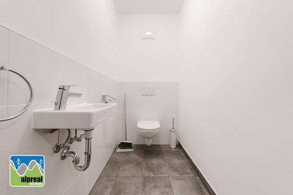 2-Zimmer-Wohnung Mitterberg Schladming Steiermark Österreich
