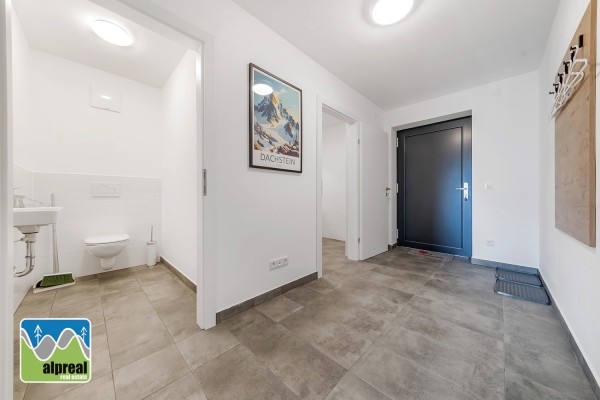 2-Zimmer-Wohnung Mitterberg Schladming Steiermark Österreich