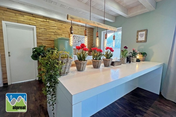 Haus mit 2 Appartements Piesendorf Salzburgerland Österreich