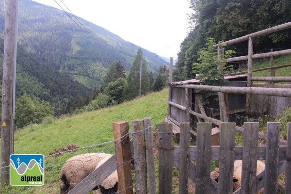 Farmhouse with 4 bedrooms in Predlitz Styria Austria
