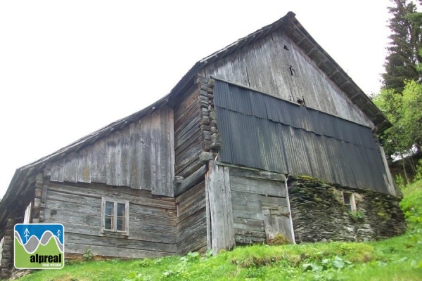 Farmhouse with 4 bedrooms in Predlitz Styria Austria