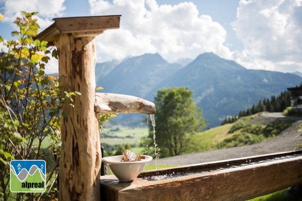 Chalet met 4 of 5 slaapkamers Neukirchen am Großvenediger Salzburgerland Oostenrijk